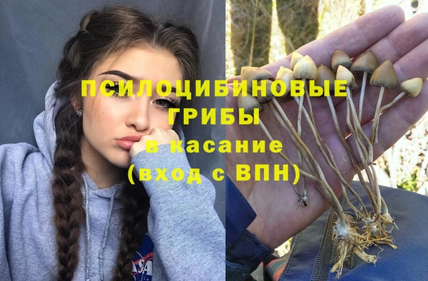кокаин VHQ Белокуриха