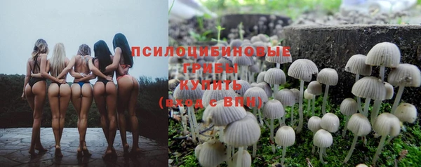 мяу мяу мука Беломорск