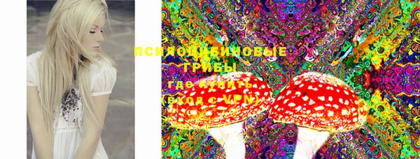 мяу мяу мука Беломорск
