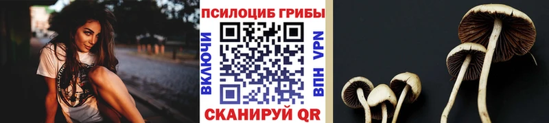 Псилоцибиновые грибы MAGIC MUSHROOMS  Купить  Гусиноозёрск 